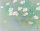 33 photo33_small.jpg